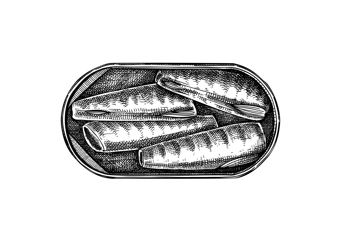 Hand drawn canned fish illustration. Mackerel in olive oil vector drawing isolated on white background. Tinned fish food sketch. Tin can with seafood for restaurant menu or product design Illustration